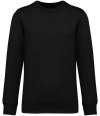 NS430 Native Spirit Unisex French Terry Crew Neck Sweatshirt Black colour image